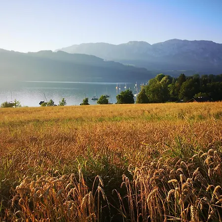 Familie Falkensteiner - Eine Friedvolle Oase Apartment Nussdorf am Attersee