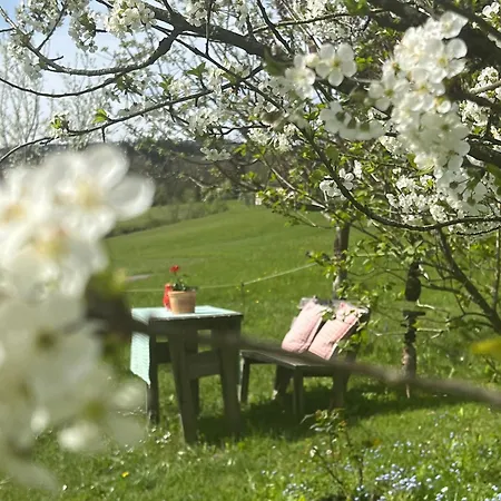Apartamento Familie Falkensteiner - Eine Friedvolle Oase
