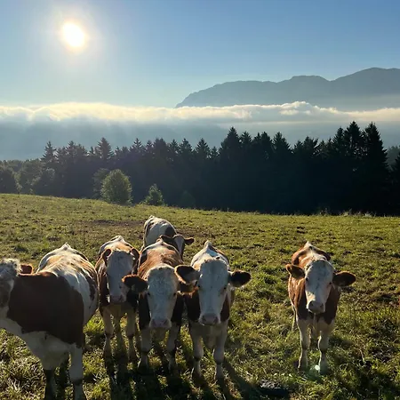 Familie Falkensteiner - Eine Friedvolle Oase