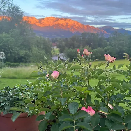 Familie Falkensteiner - Eine Friedvolle Oase Nussdorf am Attersee