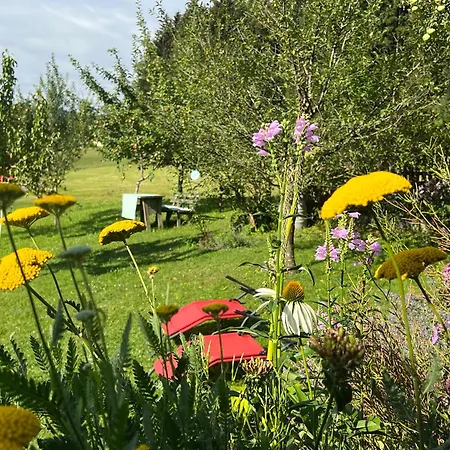 Apartamento Familie Falkensteiner - Eine Friedvolle Oase Nussdorf am Attersee
